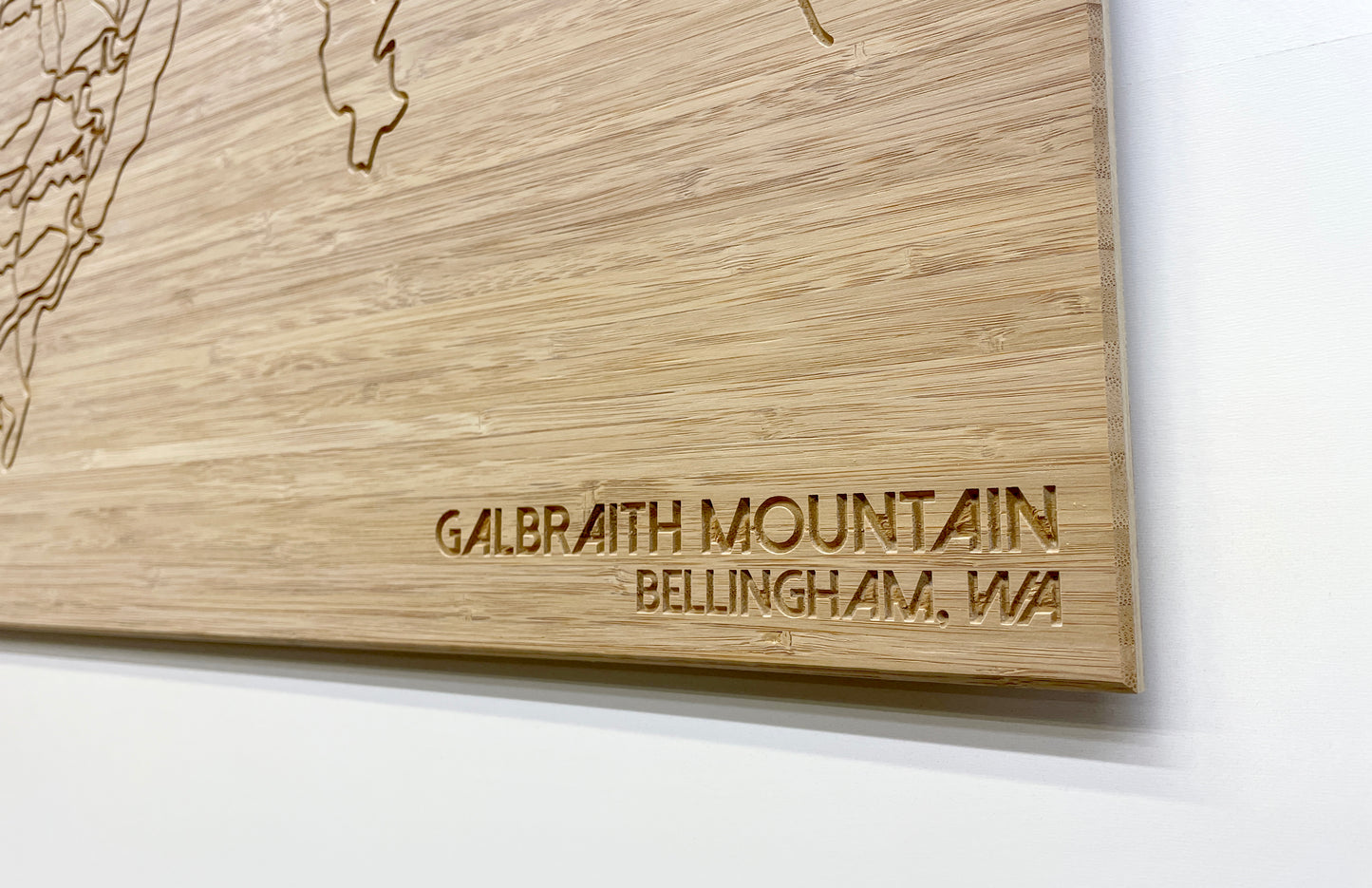 Galbraith Mountain / Bellingham, WA