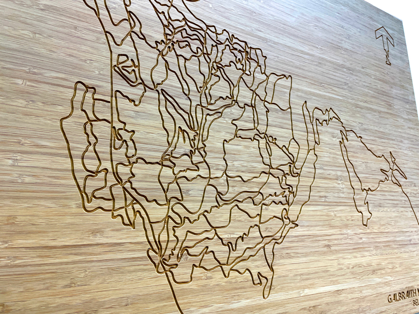 Galbraith Mountain / Bellingham, WA