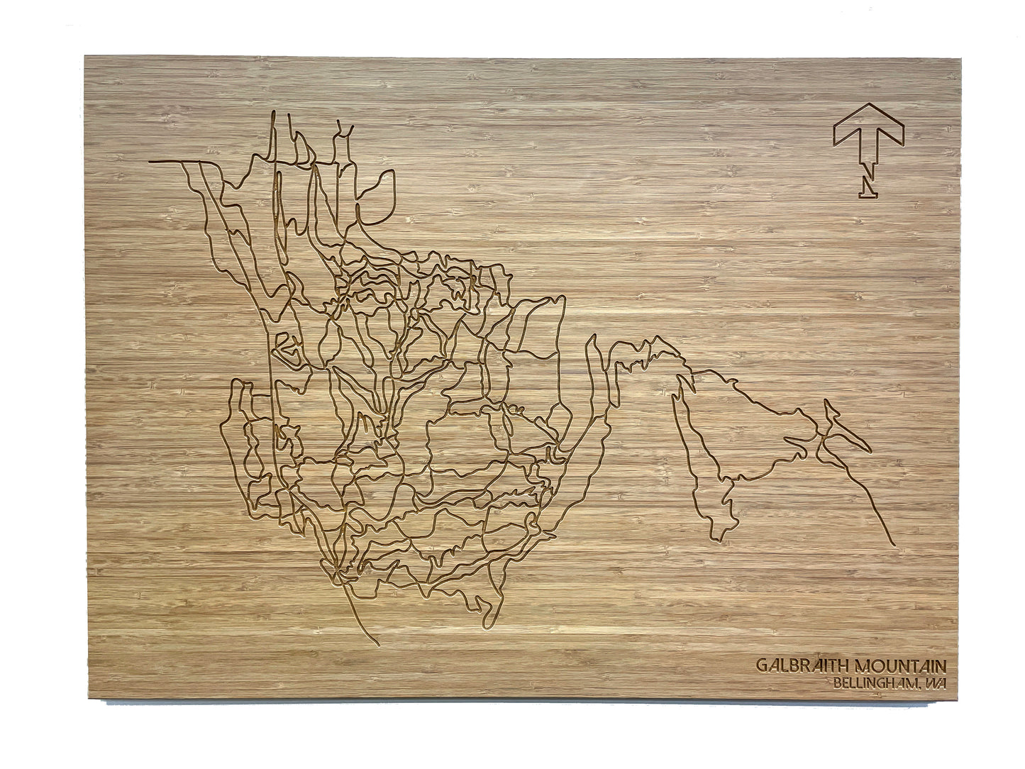 Galbraith Mountain / Bellingham, WA