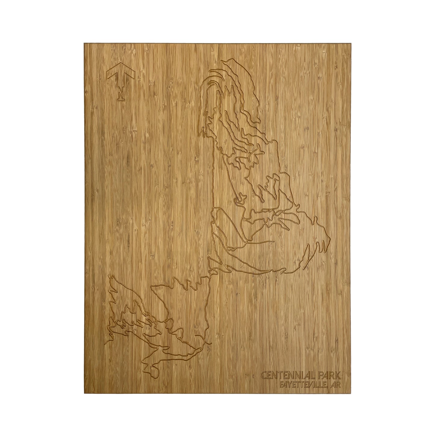 Centennial Park / Fayetteville, AR