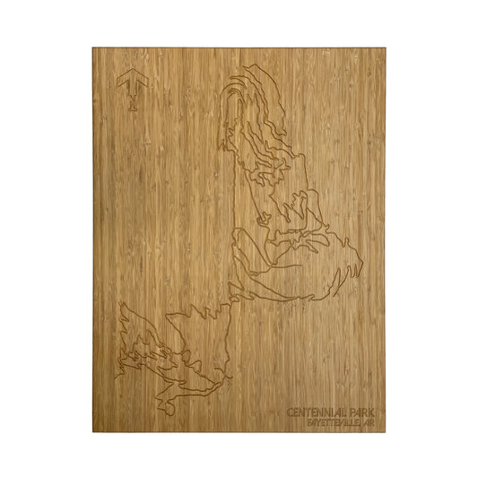 Centennial Park / Fayetteville, AR