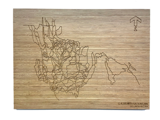 Galbraith Mountain / Bellingham, WA